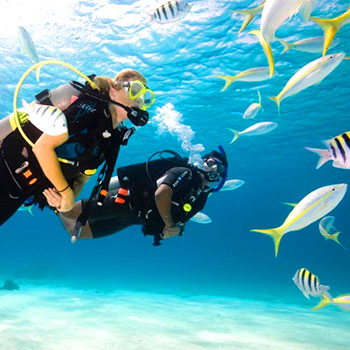 1-Tank Dive